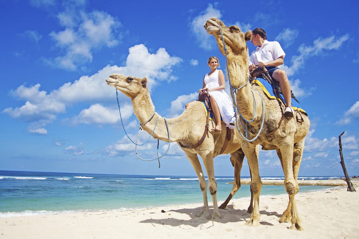Camel_Rides_in_Los-Cabos-1