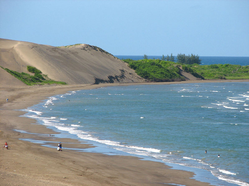 chachalacas