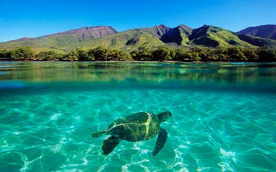 isla-maui
