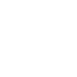 user (1)